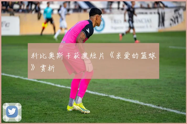 科比奥斯卡获奖短片《亲爱的篮球》赏析